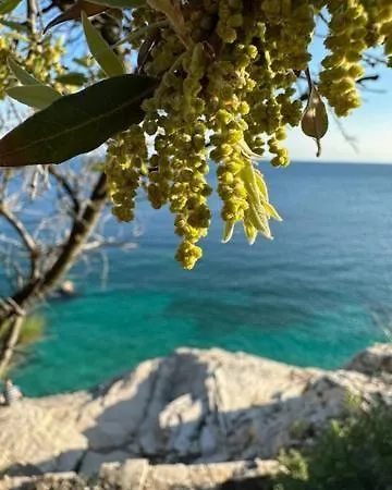 Fragrances Of Istria - La Lavanda Apartment