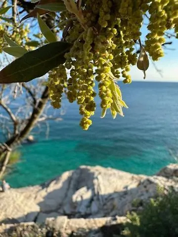 Fragrances Of Istria - La Lavanda Apartman